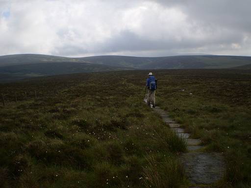 07_44-1.jpg - Slabs across the Cheviot. I was very glad of them. Much of the rest of the day looked like this.